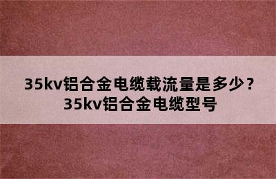 35kv铝合金电缆载流量是多少？ 35kv铝合金电缆型号